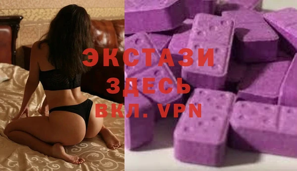ECSTASY Богданович