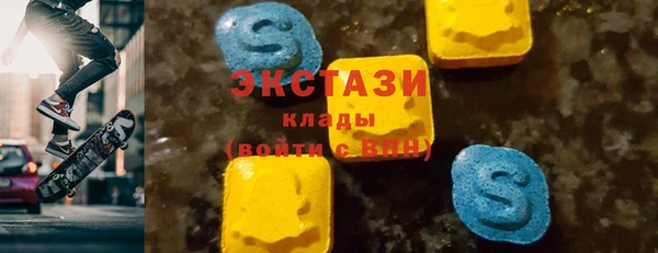 ECSTASY Богданович