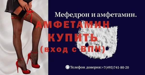 ECSTASY Богданович