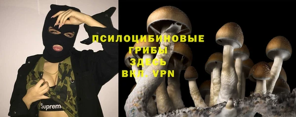 MESCALINE Богородицк