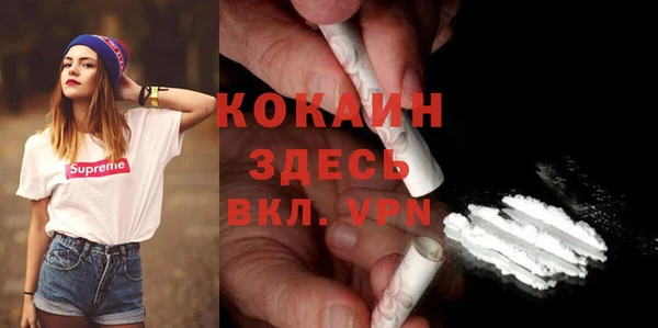 ECSTASY Богданович