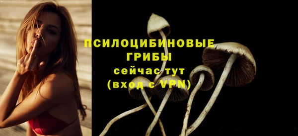 мескалин Снежинск