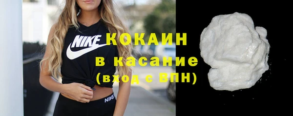 ECSTASY Богданович