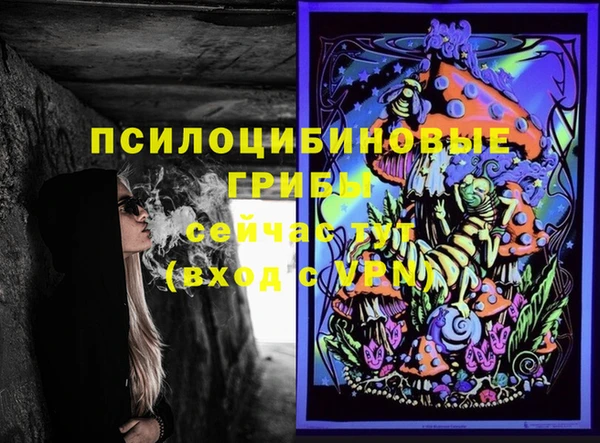 ECSTASY Богданович