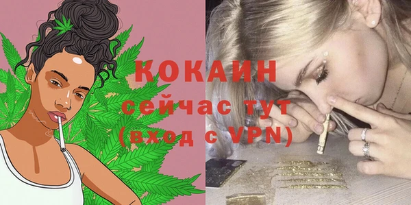ECSTASY Богданович