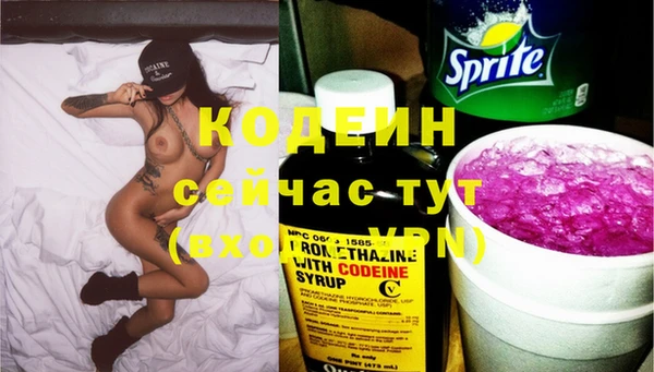 ECSTASY Богданович