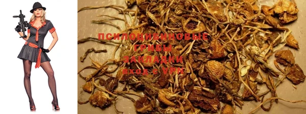 MESCALINE Богородицк