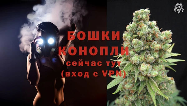 mix Богородск