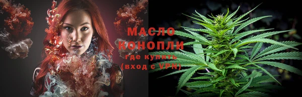 ECSTASY Богданович