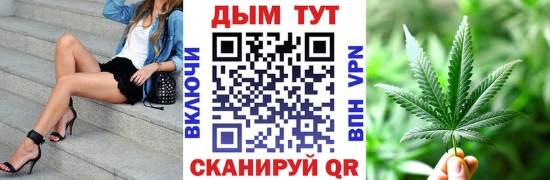 Шишки марихуана индика  Дмитриев 